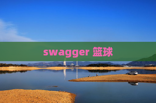 swagger 篮球 swagger 篮球